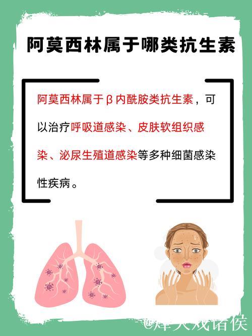 阿莫林:这是一场让每个家庭成员都感到有趣的比赛 阿莫林:这是一场让每个家庭成员都感到有趣的比赛